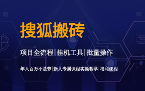 搜狐搬砖教程操作